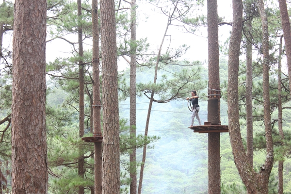 Trò chơi được chia làm 6 cấp độ, từ dễ đến khó