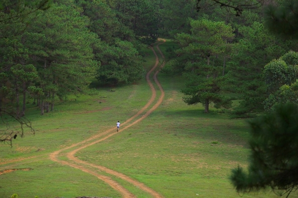 Đi theo đường mòn….