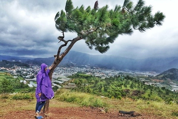 Ai bảo trời mưa thì không chụp được ảnh - Ảnh: Thiện Thiện