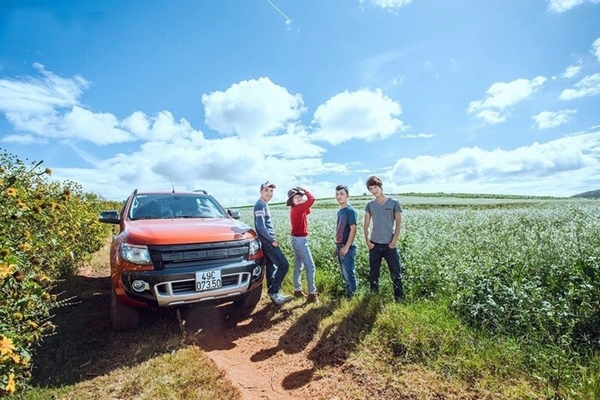 Những cánh đồng cải trắng rực rỡ