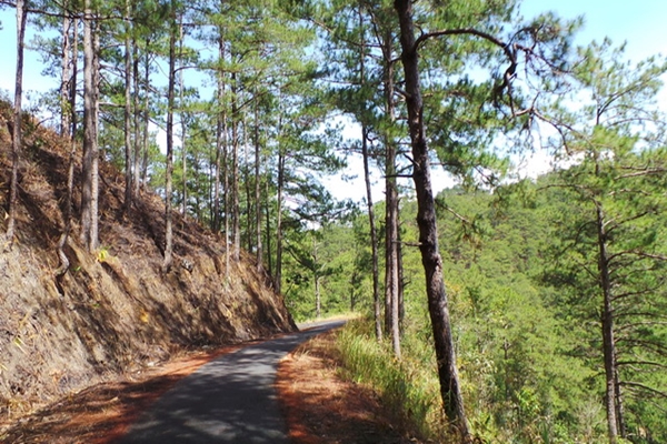 Lối vào hồ Ankroet Đà Lạt