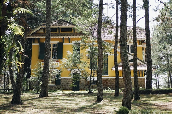 Khu biệt thự nằm yên tĩnh giữa rừng thông