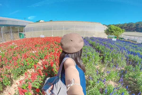 Vạn Thành là một trong ba làng hoa lớn nhất Đà Lạt