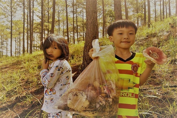 Trẻ em theo cha mẹ đi hái nấm