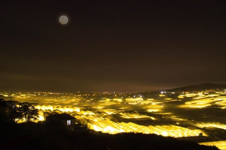 67676854 469750003861049 8695992044801228800 O