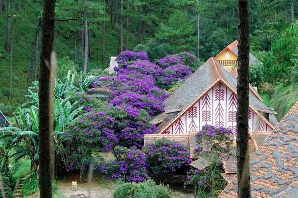 Hoa phủ, bao trùm lên những mái nhà