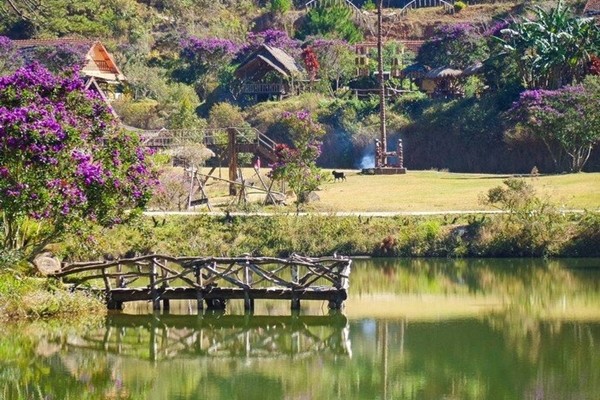 Mùa hoa Pơ Ra Nhằng tạo nên vẻ thơ mộng cho làng Cù Lần