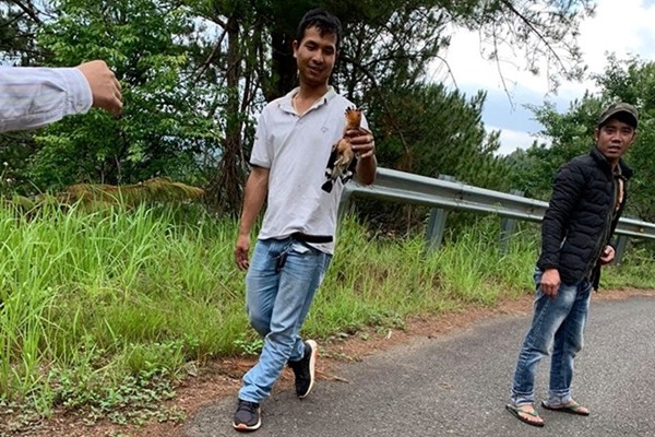 Hình ảnh được một số người ghi lại về hành động săn bắn chim đầu rìu tại hồ Tuyền Lâm