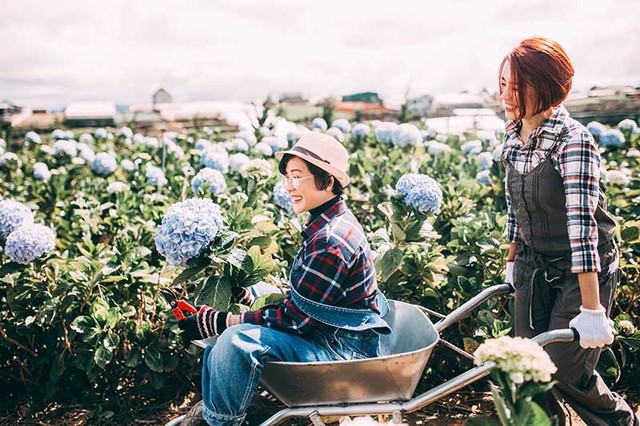 Me Va Con Gai9 1514985654507