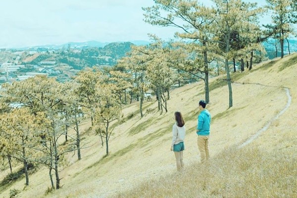 Sự giao thoa của thiên nhiên tạo nên khung cảnh ấn tượng