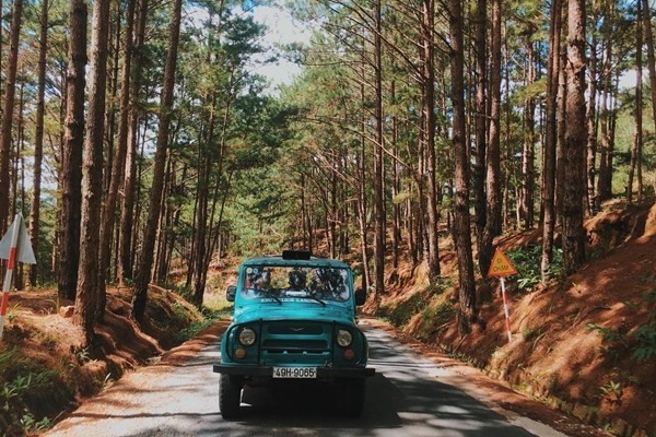 Tùy theo điều kiện, bạn có thể lựa chọn phương tiện di chuyển thích hợp