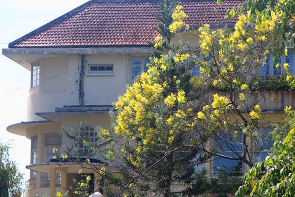 Hoa nở trước một hiên nhà