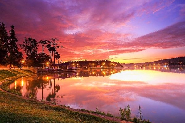 Sắc tím bao trùm lên mặt hồ, lên tán cây, thảm cỏ