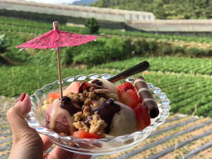 67883344 362644734636867 4286080995779674112 O