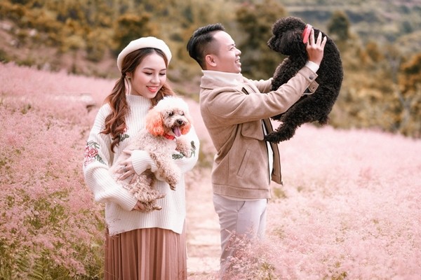 Đồi cỏ hồng trở thành một background chụp hình thú vị