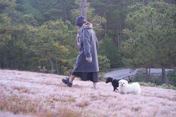 76702396 2382640388531899 1564249208284774400 O