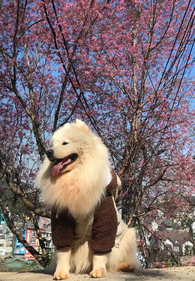 81465113 10156879599659562 5986479988742815744 N