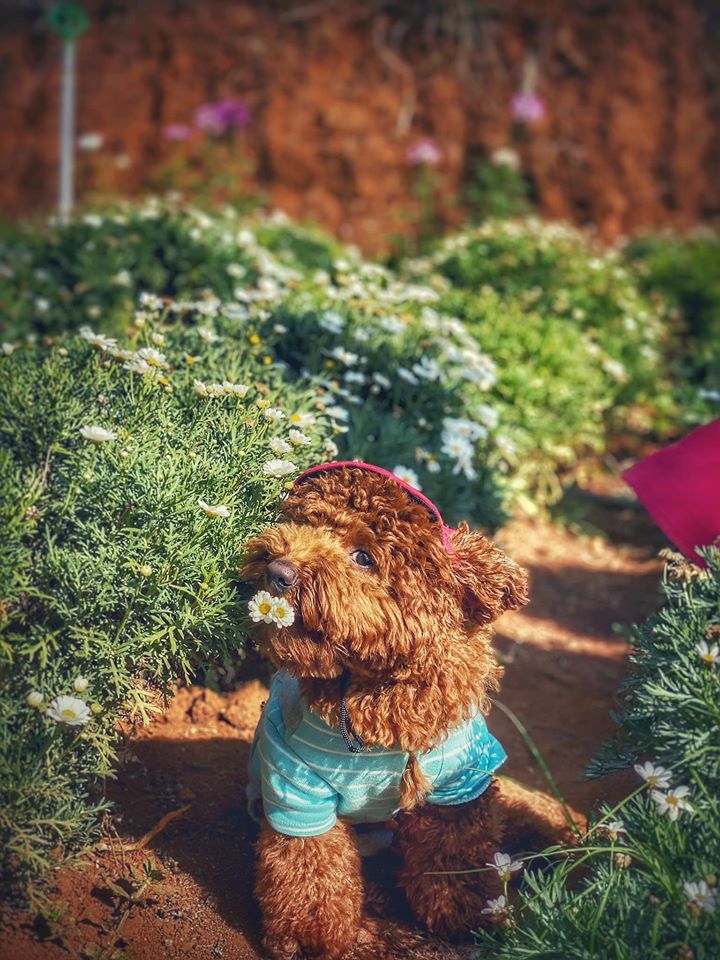 86695634 2666459576919382 8991766092921700352 O