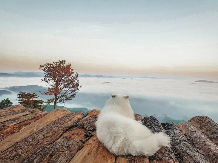 97812150 2654642914862703 1413237359293497344 O