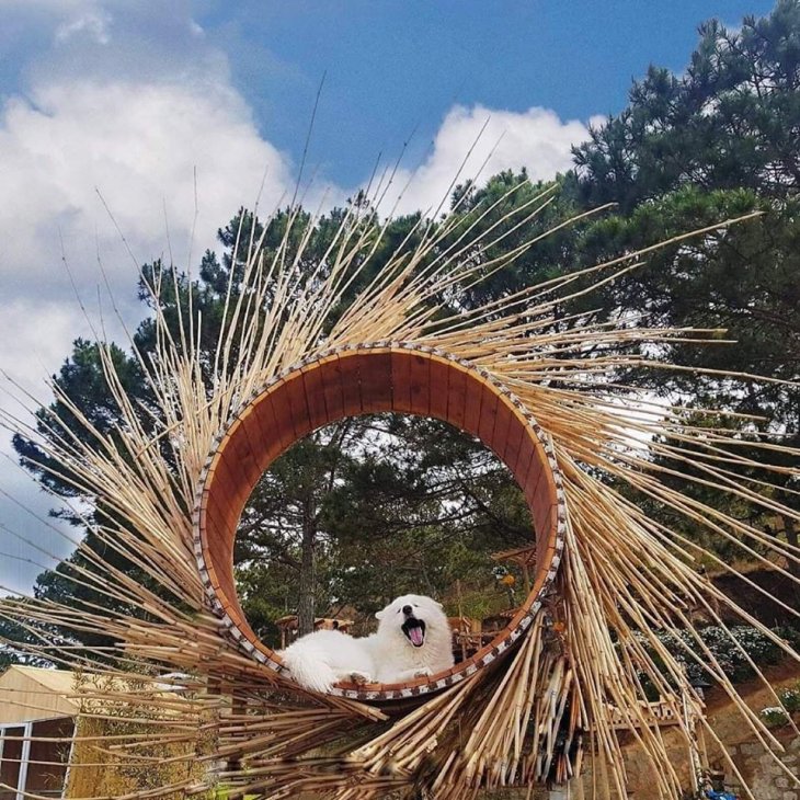 97966666 2654643054862689 1000906381319995392 O