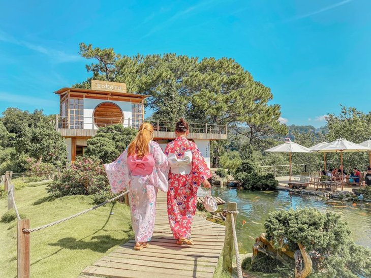 98019494 2885258561587047 6053989732105322496 O 1