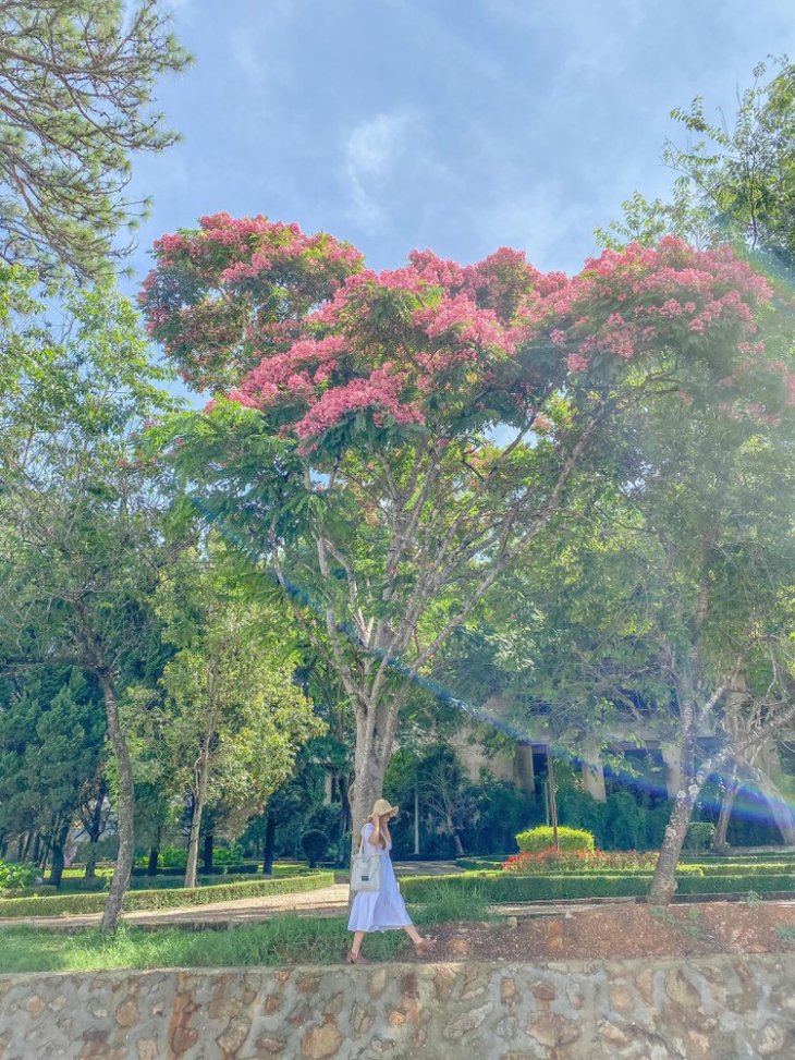 101029090 550605929184061 6022589226204266496 N