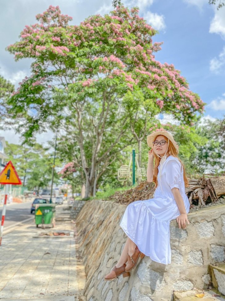 101091888 294735388230868 1549036300978356224 N