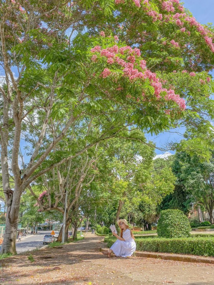 101217391 258432935391374 1507960762767769600 N