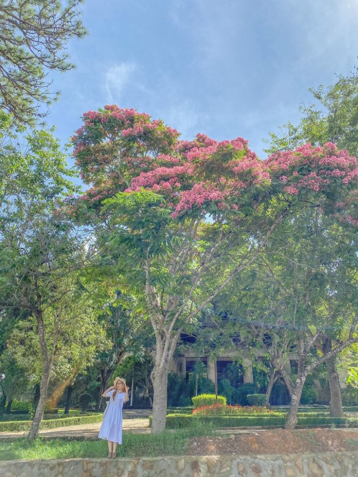 101643925 2645603458992719 776711519420284928 N