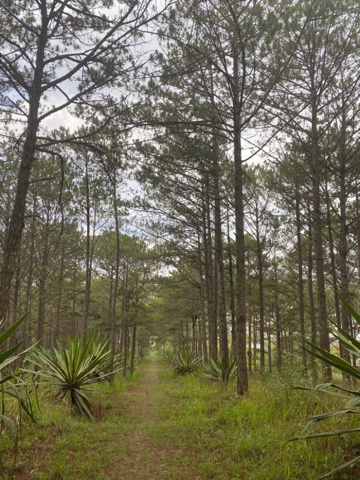 101708124 624165268197671 810378930535006208 N