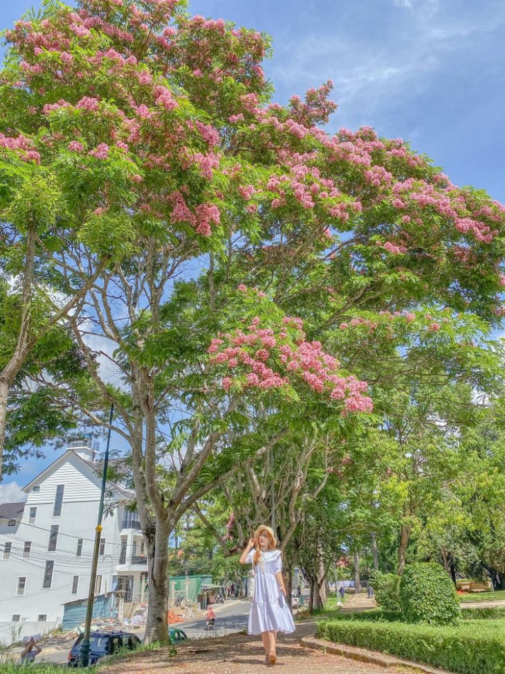 101860500 2642384422641881 1868558657797488640 N