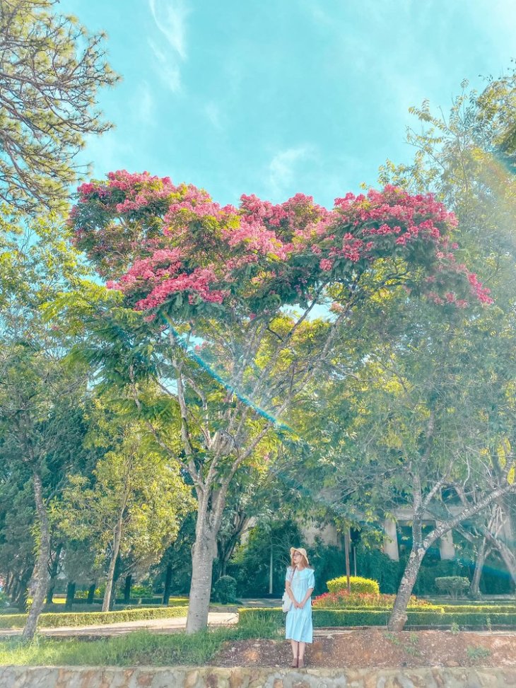 101954518 264166461600411 2787148378822148096 N