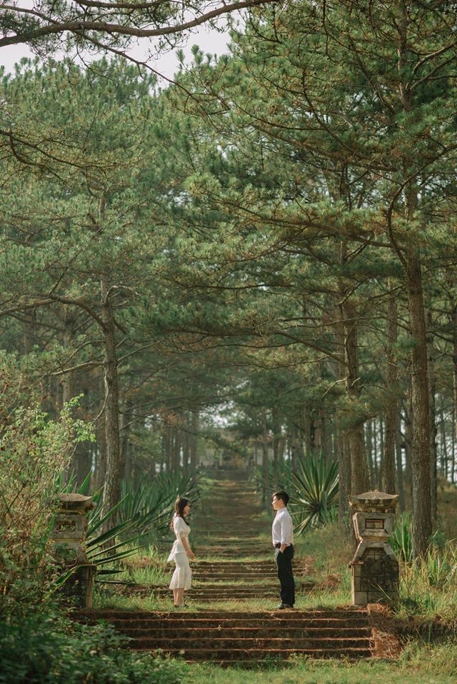 87348768 3152642344787142 5146505641161916416 O