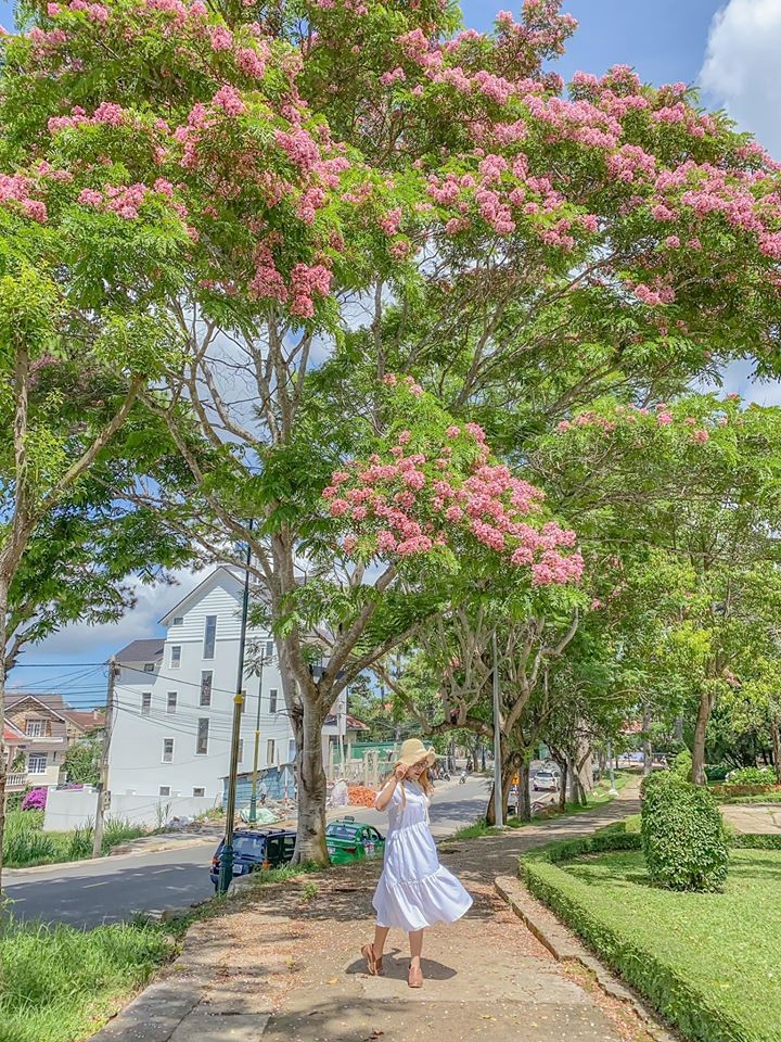 101472742 2918315581614678 5055402439851638784 O