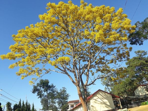 25346fe8 Fd9e 469d 929c 3c1724563403