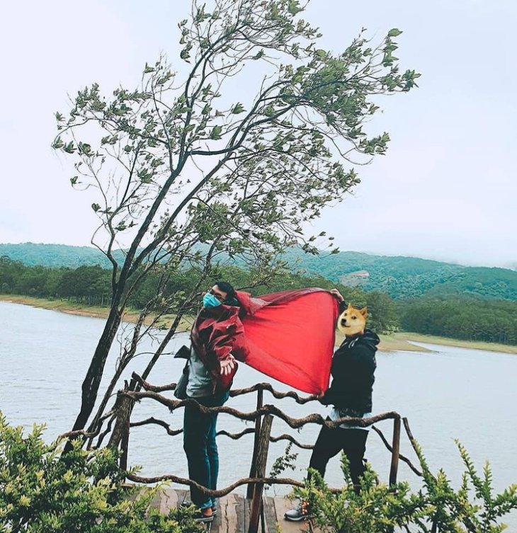 67809810 2205315166257056 2989395536932503552 N