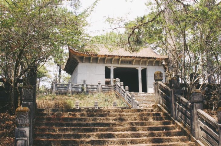 89981525 3115985975120876 5008982102603988992 O