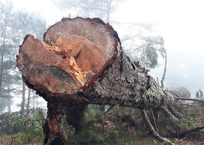 Aab937d5 Bddf 4136 Be37 30e60b4167d4 A837