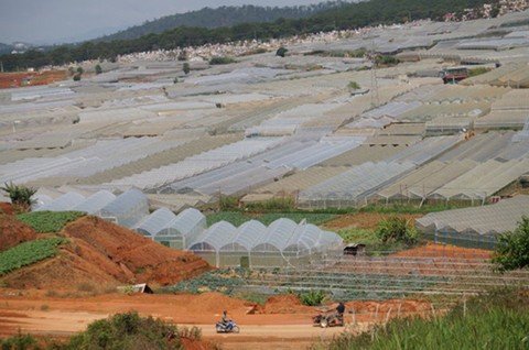 Tinh Trang Nha Kinh Bao Phu Dat Nong Nghiep O Da L