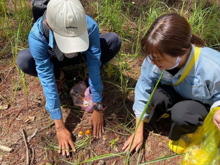 104186012 2360592570911494 1661783629766737592 O