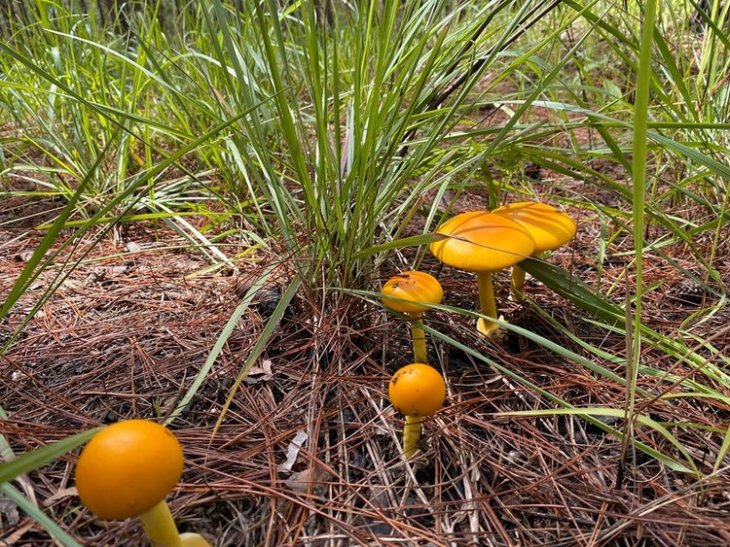 104910856 2964177510361818 8828014889092653683 O