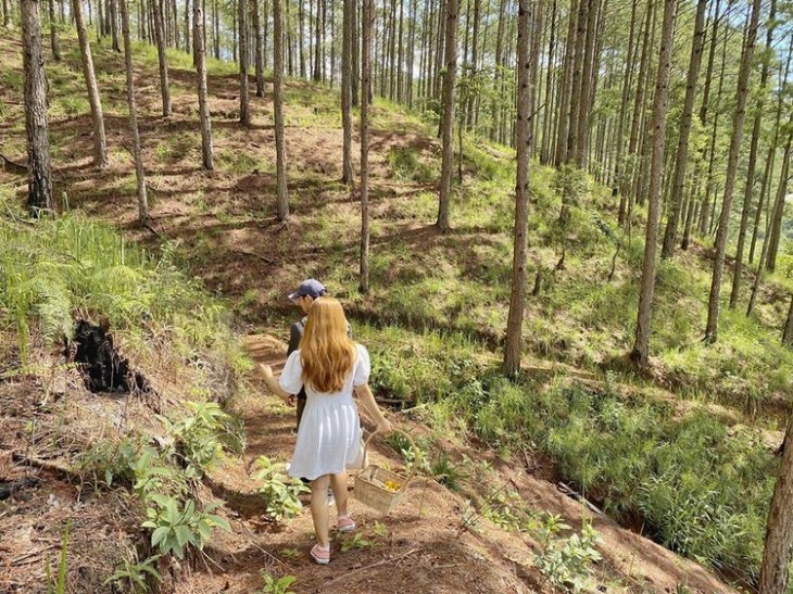 105478036 2964176807028555 4077849784894890334 O