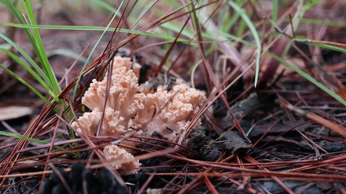 Anh Thi 3 1592190193883384932204