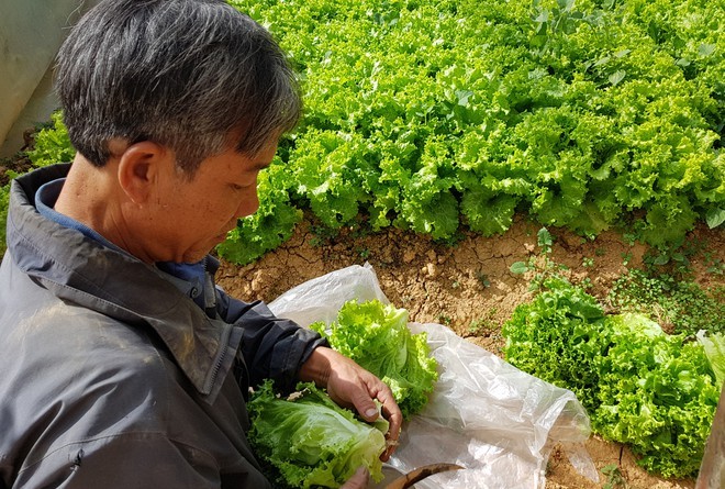 20200330 084058 Spfp