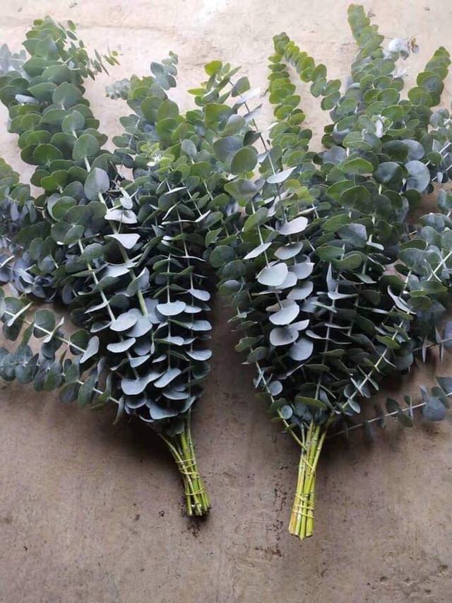 Photo 7 1593223313172797124219