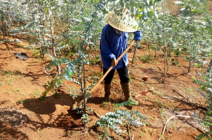 Watermark0ccb0d10aaca57940edb 13152020062528 07411