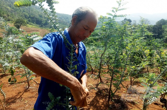 Watermark4da18d462a9cd7c28e8d 13132020062552 07411