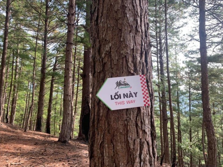 106993927 1979870902145913 3652963664983342612 N