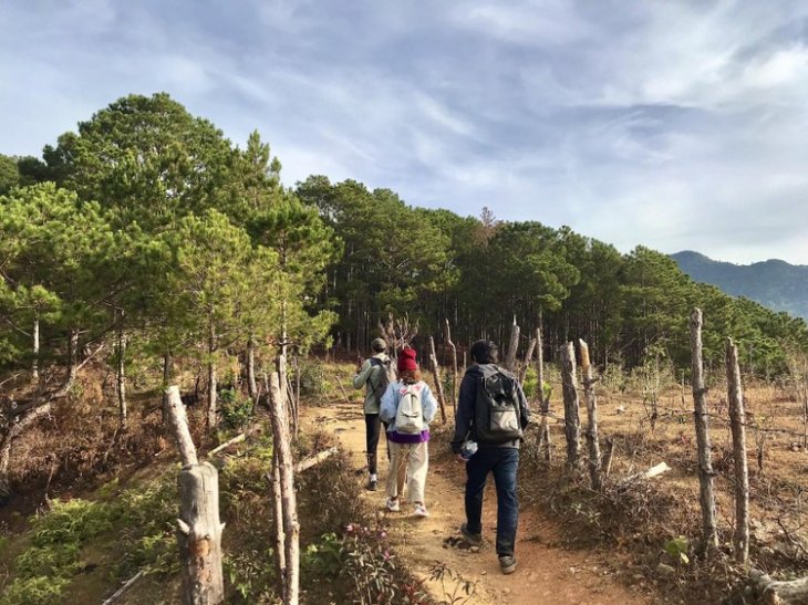 Z1962531330073 B4828bb467c1727992e65f99bc37c86a