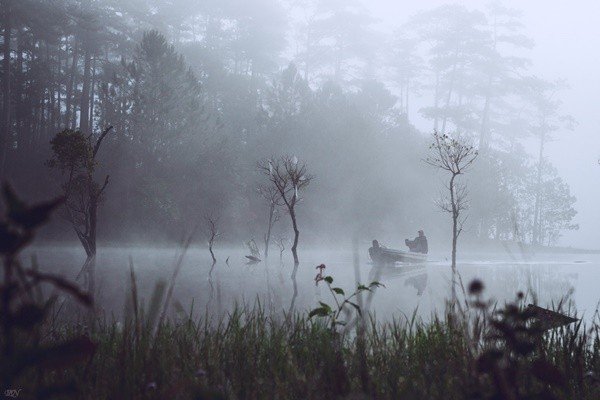 73134090 2166847123619374 2302539960319737856 O